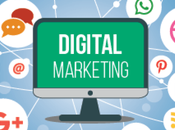 Services Expect from Digital Marketing Agencies Small Startups