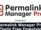 [GPL] Permalink Manager Plugin v2.2.9.3 Free Download