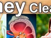 Home Natural Remedies Kidney Cleansing