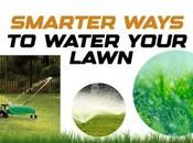 Smarter Ways Water Your Lawn