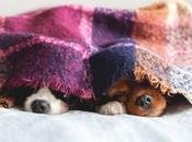 Blankets Recyclable? (And Ways Reuse Blankets)