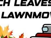 Mulch Leaves With Lawnmower?