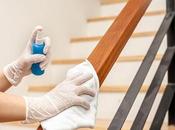 Disinfecting Your Home Save from Health Problems! How?