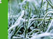 Winterize Your Central Florida Lawn