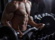 Best Curl Bars [Olympic Non-Olympic]