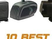 Best Pond Pumps Reviews