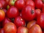 Some Journeys Start from Small Villages Like Chinnappampatti Khipro