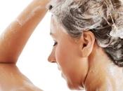 What Silver Shampoo Does Work?