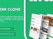 Fiverr Clone Scripts Omninos Solution Amir Articles