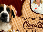 Veterinarian: Everything Need Know About Chocolate Toxicity Dogs