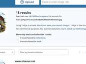 Most Popular Image Search Engines