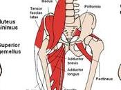 Muscles Lower Back Treat Lumbar Pain Caused Tight Flexors Flat Floor with Lateral Lifts Strengthen Your Hips Glutes;