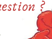 Questions Questions: Want Answer Your Wine Winephabet Street