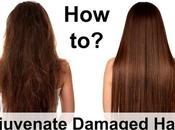 Rejuvenate Damaged Hair?