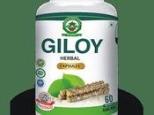 Giloy Herbal Capsules