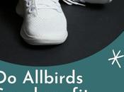 Allbirds Wide Feet? Honest Review