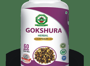 Gokshuradi Capsules