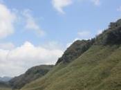 POEM: Grace Beauty Distance