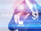 Should Invest Your Money Forex Market?