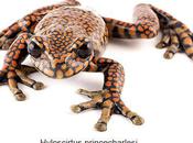 Species Named After Famous People