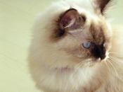 Weather Forecast, Cloudy… Fluffy Photos ’bout Bazaar…