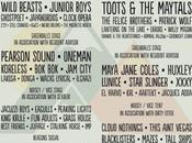 BEACONS FESTIVAL 17th 19th August 2012