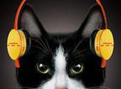 World's First Headphones Cats
