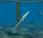 Maine Lays Claim First Tidal Energy Project United States