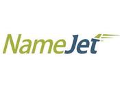NameJet/Snapnames February Sales PayZone.com