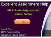 Provide Speedy Information Technology Assignment Help Service Students