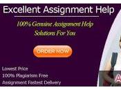 Best Online Assignment Help From Experts