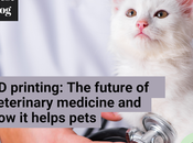 Printing Regenerative Medicine Work Impact Veterinary