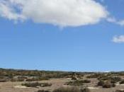 POEM: Mental Weather