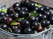 Black Currant