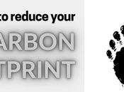 Reduce Your Carbon Footprint