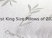 Best King Size Pillows 2021