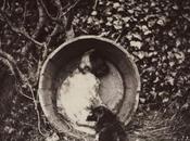 Early Photography: Puppy Barrel