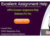 Data Structure Assignment Help From Writers Eligible Handle Complex Code Applications