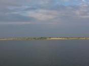 POEM: Piss-Poor Prankster [Bergerette PoMo]