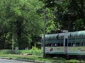 When Trams Boats Thiruvallikkeni Know ‘Richard Plantagenet Campbell Temple-Nugent-Brydges-Chandos-Grenville’