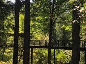 Leach Botanical Garden’s Aerial Treewalk Opening April
