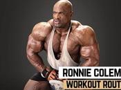 Ronnie Coleman Workout Routine