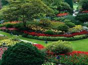 Tips Running Successful Landscaping Business