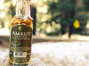 Amrut Peated Cask Strength Indian Single Malt Review
