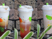 Stay Cool Summer with Moonleaf’s Wintermelon Cream Series