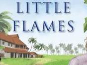 Hundred Little Flames Preeti Shenoy #BookReview #Books #BookChatter @preetishenoy