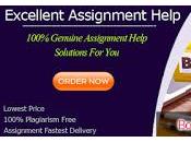 Best Bookkeeping Assignment Help Homework Delivered Within Deadline