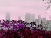 Purple Dialectics, Urban Pastoral [Matisse]