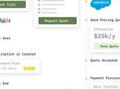 Pricing Experiments Subscription E-commerce Businesses