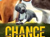 Chance (2019) Movie Review